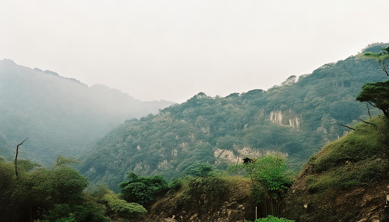 请及时下载安装_即时到安卓下载app_如何通过imToken安卓版app下载及时获取市场更新?